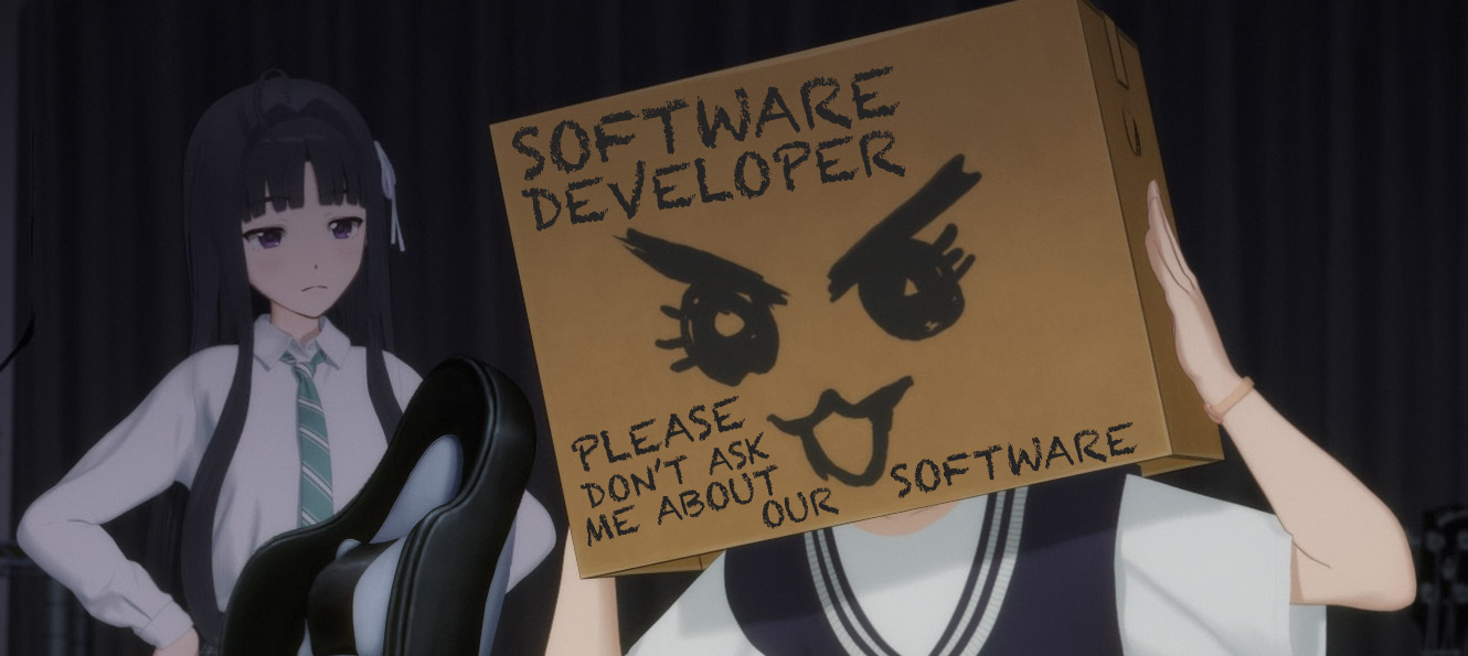 Please don't ask me about our software